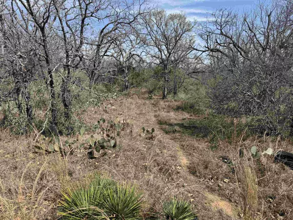 Kingsland, TX 78639,Lot 294 Pinemont DR