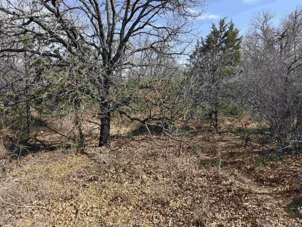 Kingsland, TX 78639,Lot 283-289 Aspermont DR