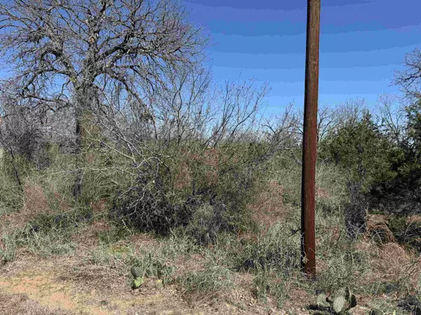 Kingsland, TX 78639,Lot 43 Link DR