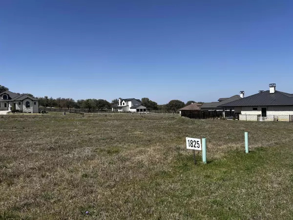 Spicewood, TX 78669,1825 Art Adams Way