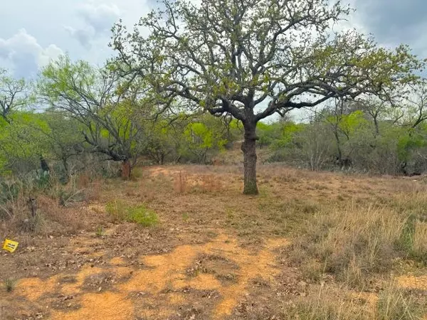 Granite Shoals, TX 78654,489 Oakhill Dr