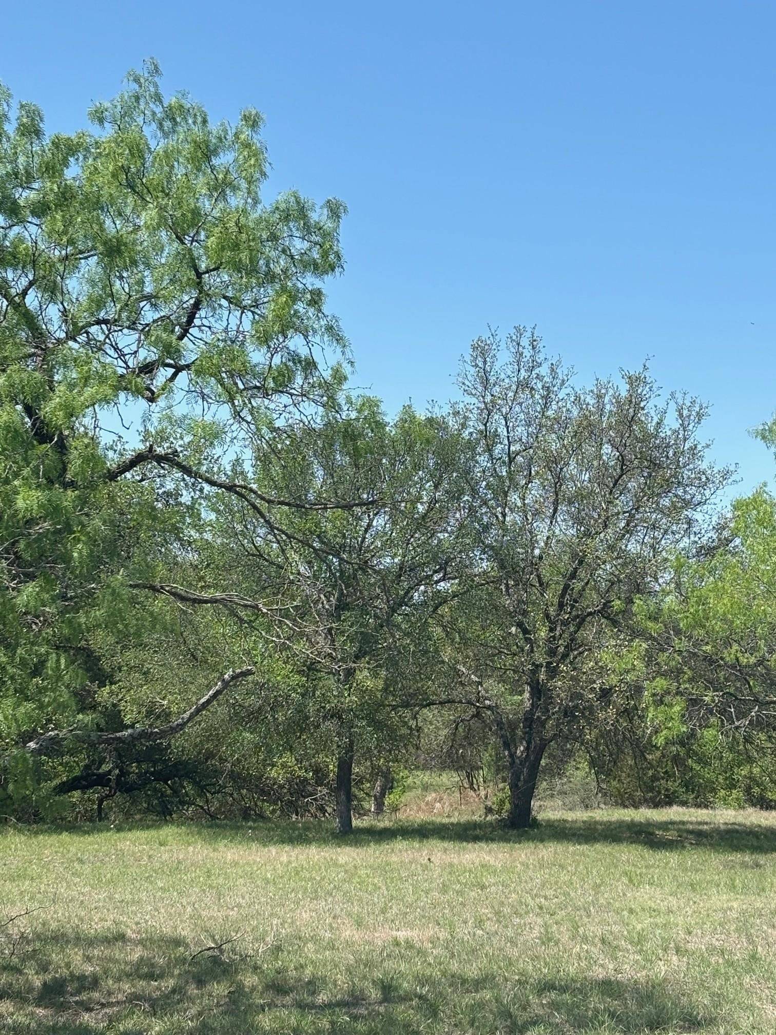 Horseshoe Bay, TX 78657-0000,lot W19030 Moon Ray