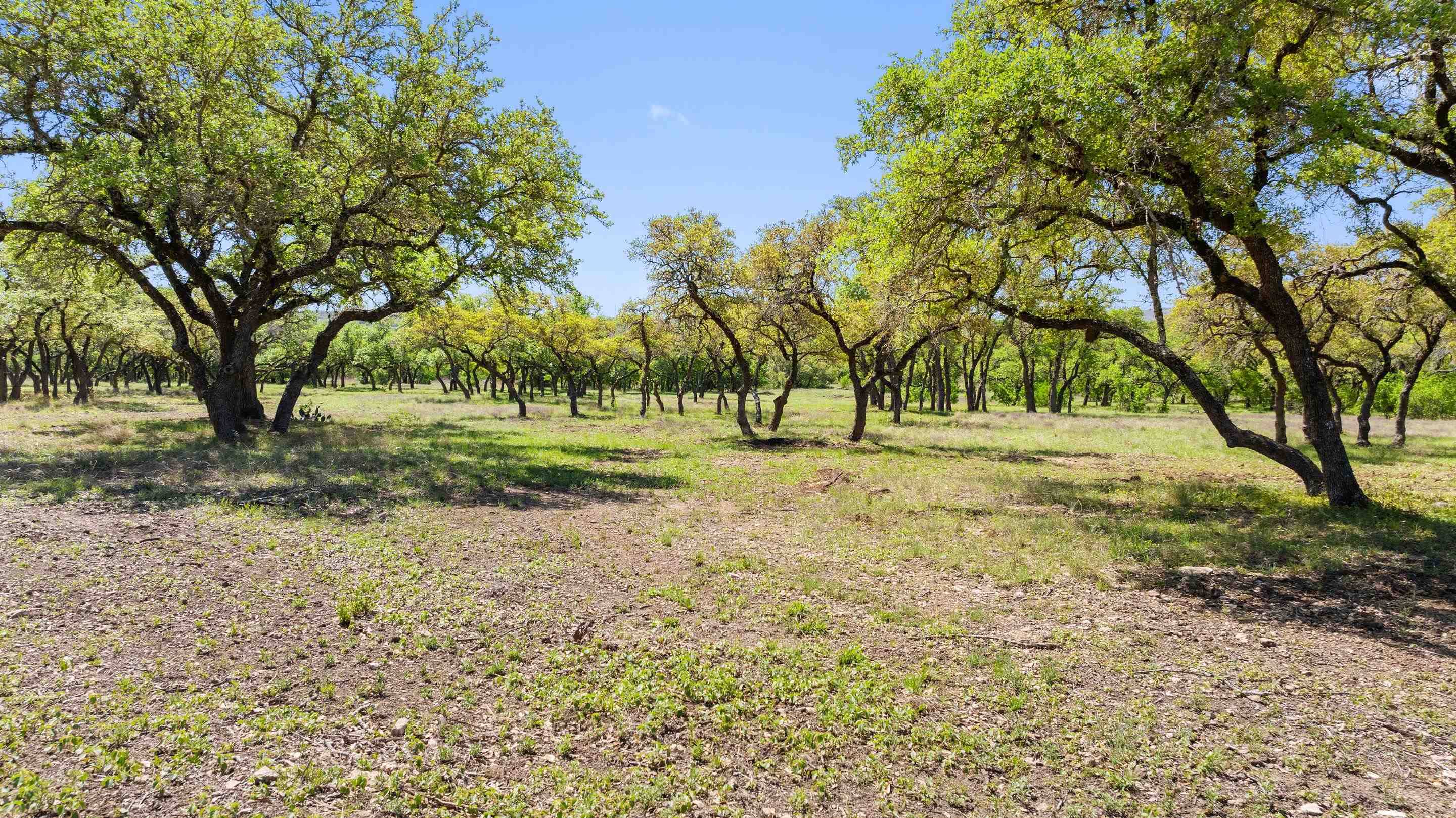 Johnson City, TX 78636,1422-23 Ranch Road 2766
