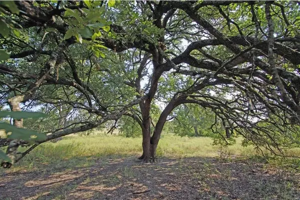 Liberty Hill, TX 78642,5341 County Road 236