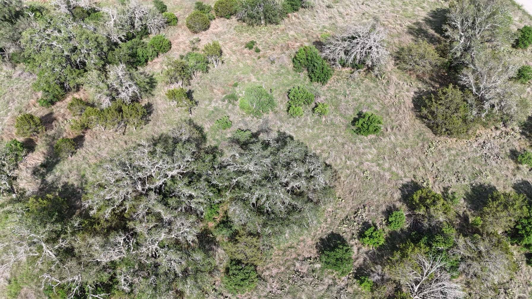 TBD Horned Toad, Horseshoe Bay, TX 78657