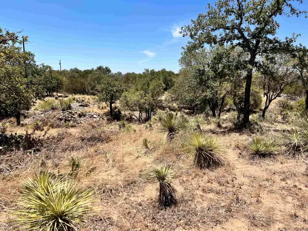 Granite Shoals, TX 78654,Lot 320 TBD W. Castlebriar DR