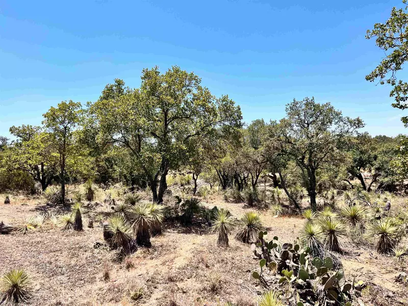 Lot 323 TBD W. Castlebriar DR, Granite Shoals, TX 78654