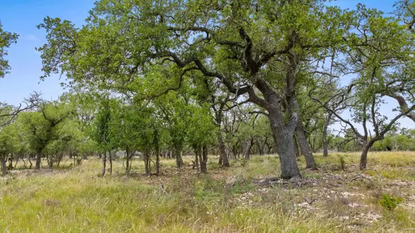 Harper, TX 78631,65 Miles LN