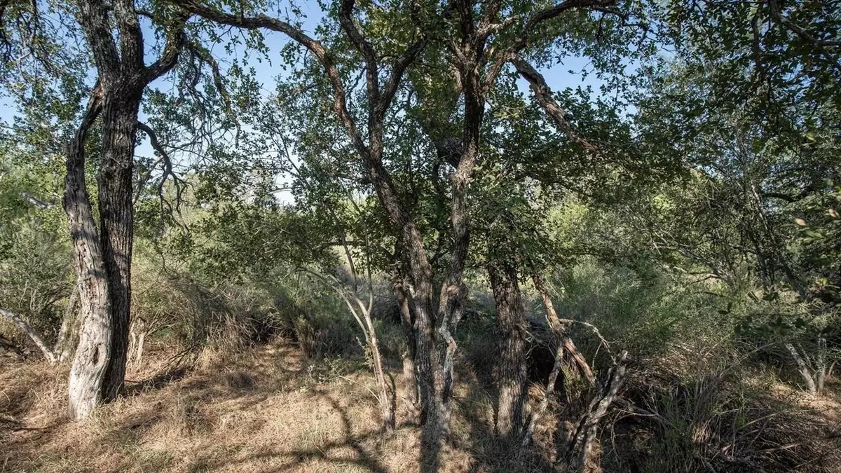 Granite Shoals, TX 78654,LOT 219 Timber Valley Ln