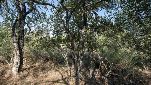 LOT 219 Timber Valley Ln, Granite Shoals, TX 78654