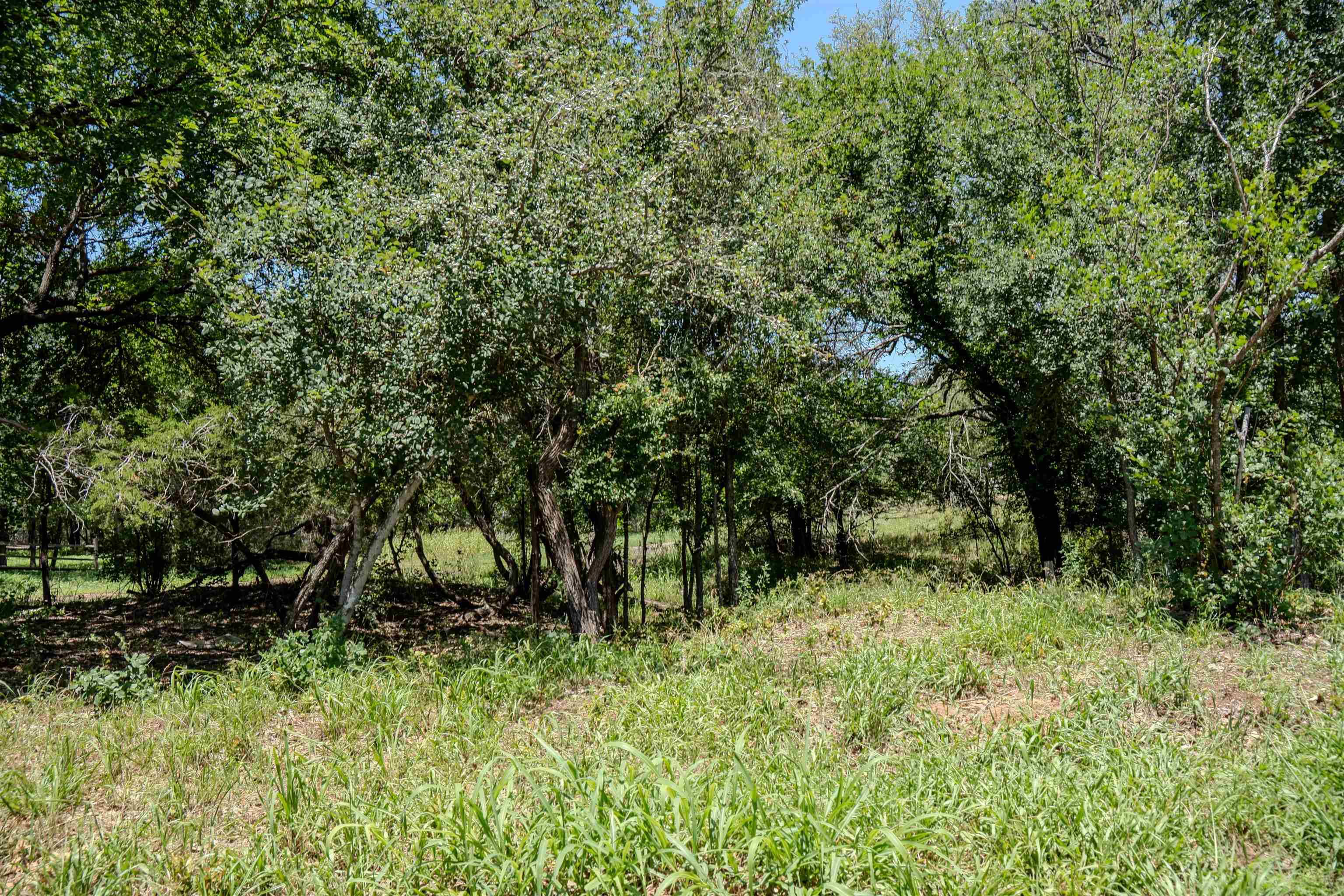 Kingsland, TX 78639,2230 McArthur AVE