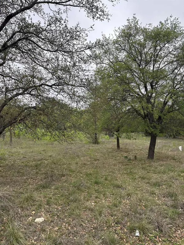 Cottonwood Shores, TX 78657,Lot 161 Driftwood Ln