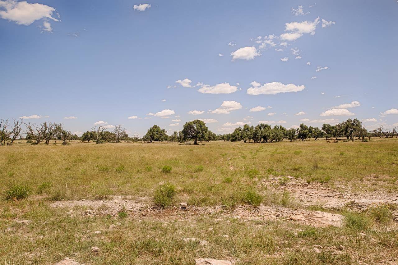 Harper, TX 78631,Lot 105 Oryx View DR