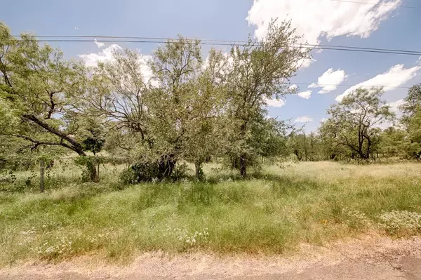 Granite Shoals, TX 78654,TBD Timber Valley LN