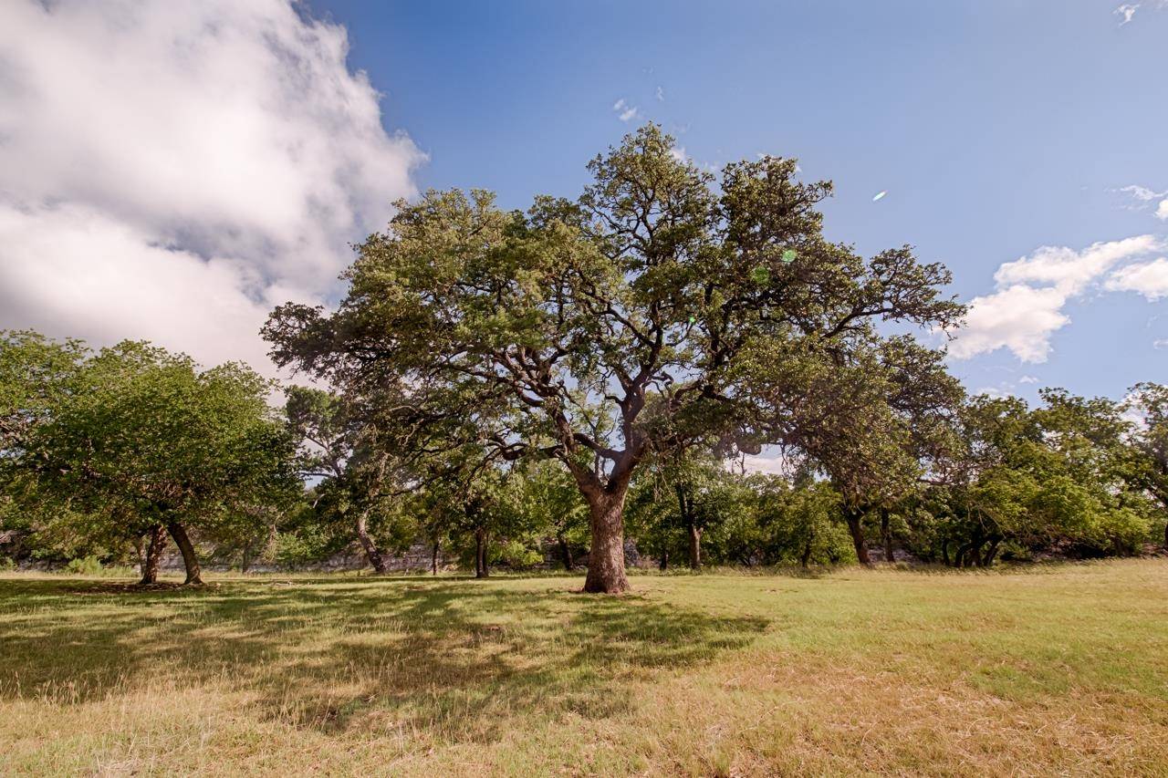 Harper, TX 78631,Lot 23 Goose Landing WAY