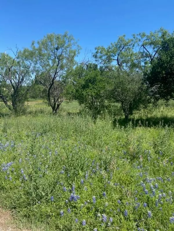 Horseshoe Bay, TX 78657,313 Sweetgrass