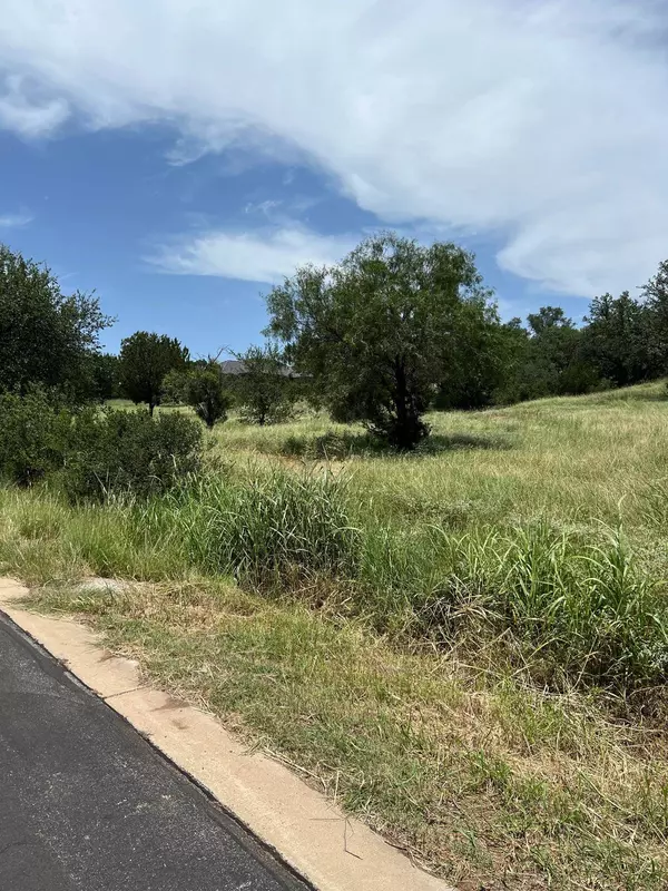 Horseshoe Bay, TX 78657,310 Outcrop/Cats Eye