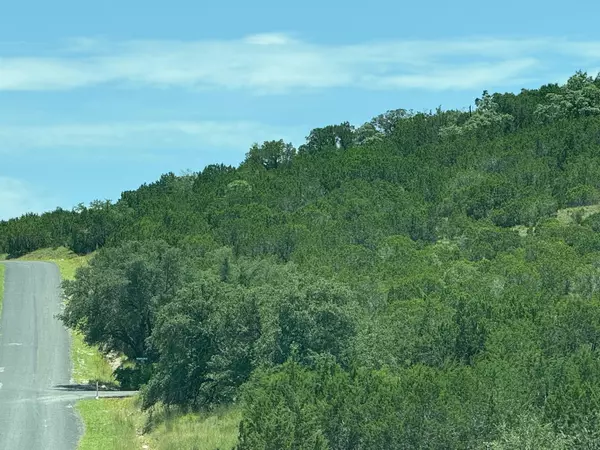 Bertram, TX 78605,Lot 249 Woodhollow Dr