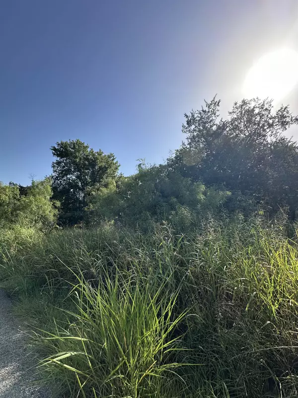 Cottonwood Shores, TX 78657,235-237, 214 Pine Ln