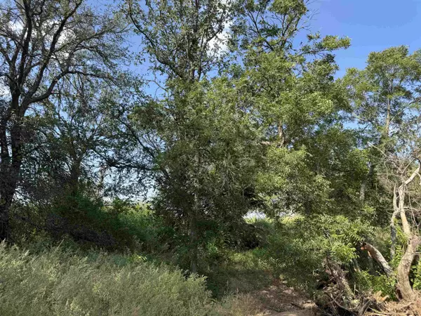 Marble Falls, TX 78654,TBD Quail Valley Dr