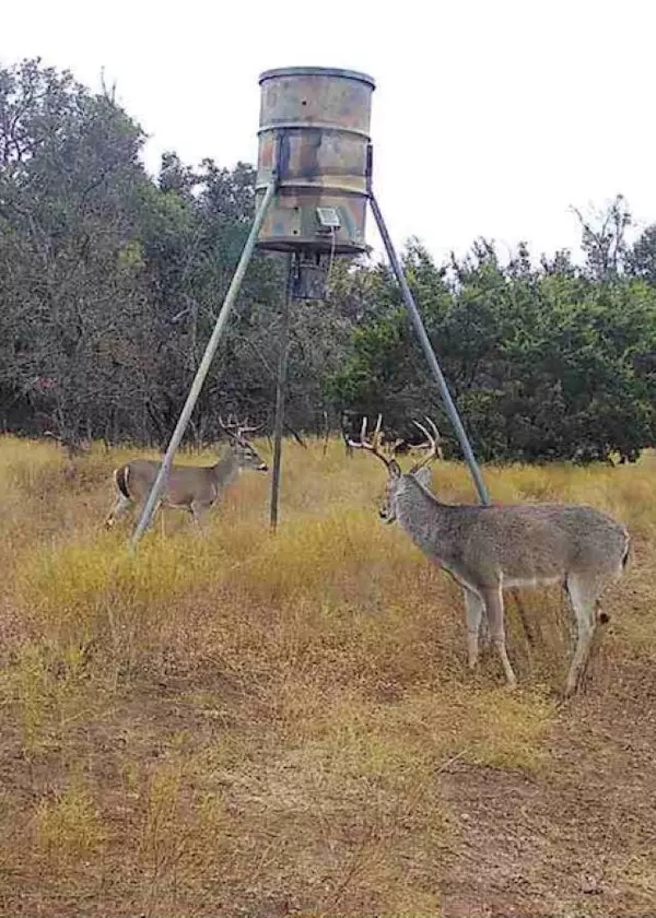 Rochelle, TX 76872,227 County Road 458