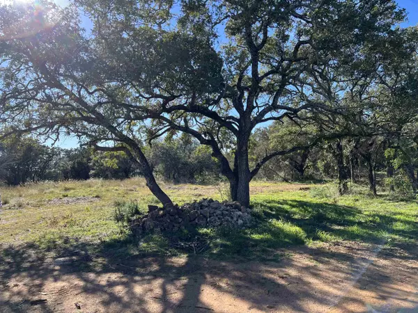 Kingsland, TX 78609-0000,901 Escalar DR