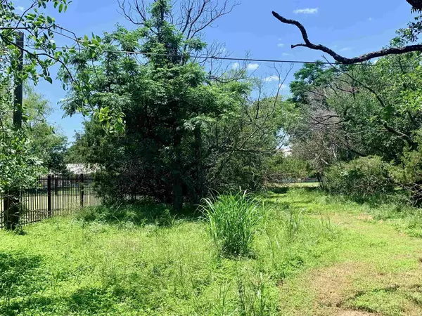 Cottonwood Shores, TX 78657,Lot 520 Aspen LN