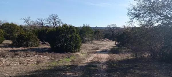 Marble Falls, TX 78654,TBD E FM 1431 HWY