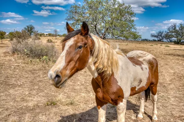 Sunrise Beach, TX 78643,884 Sandy Mountain DR