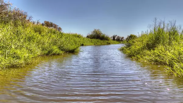 Llano, TX 78643,204 Lagitos LN