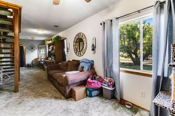 Tow, TX 78672,288 Ballard