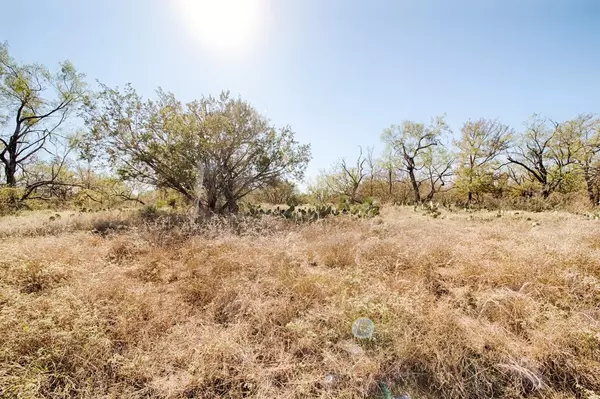 Granite Shoals, TX 78654,TBD Hill Glen DR