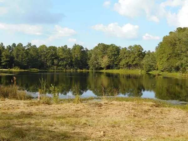 Walterboro, SC 29488,O Lakeshore Dr