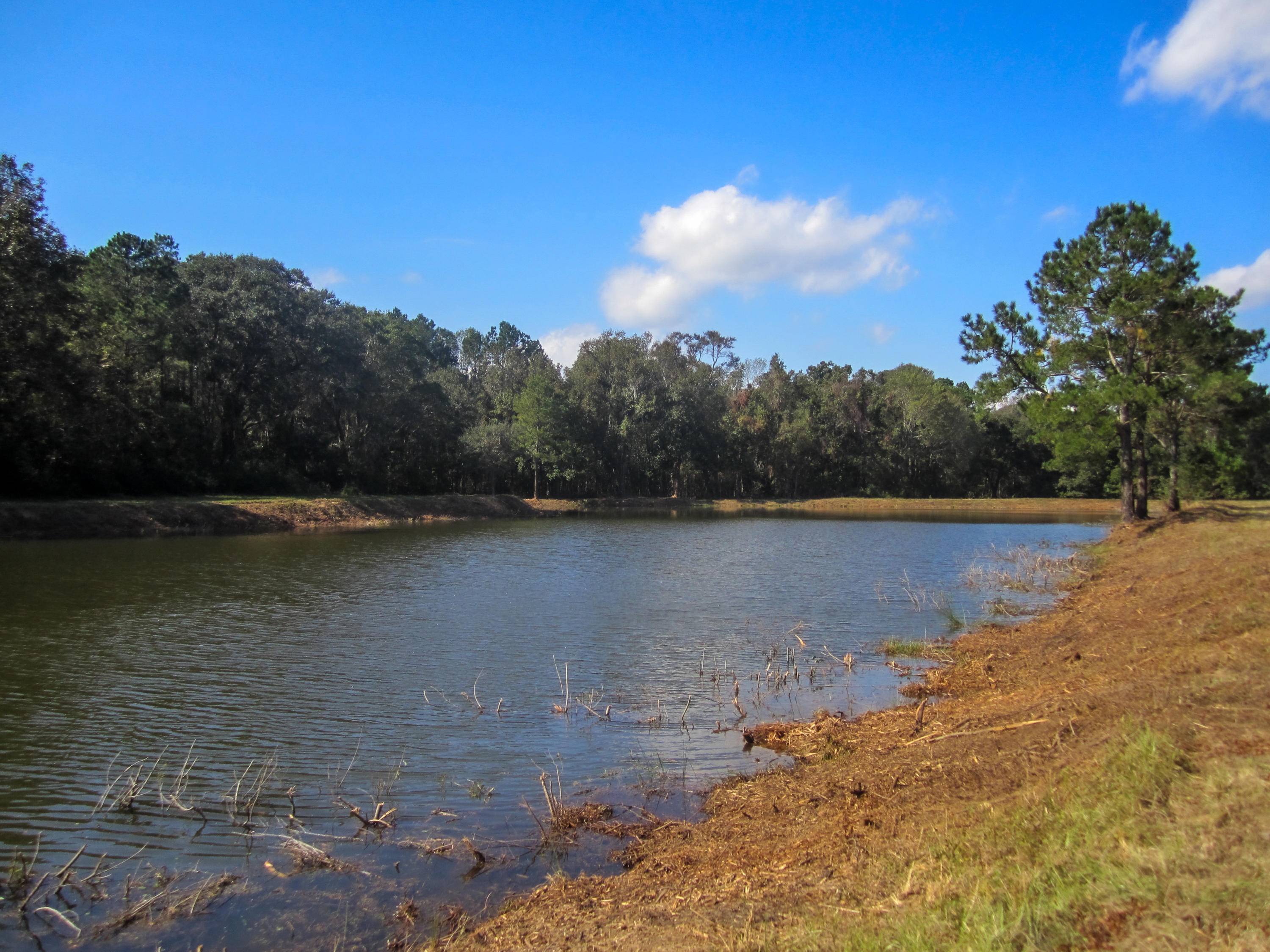 Johns Island, SC 29455,7 Breakaway Trl