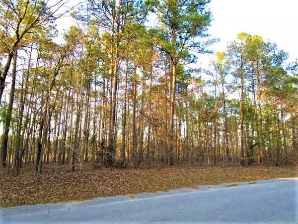 Lot 59 Sorin Cir, Santee, SC 29142