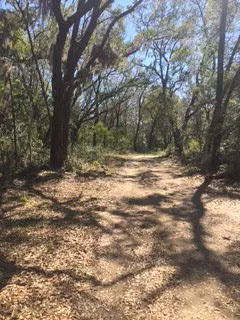 0 Mary Seabrook Rd, Edisto Island, SC 29438