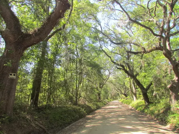 1864 Bligen Parker Ln, Edisto Island, SC 29438