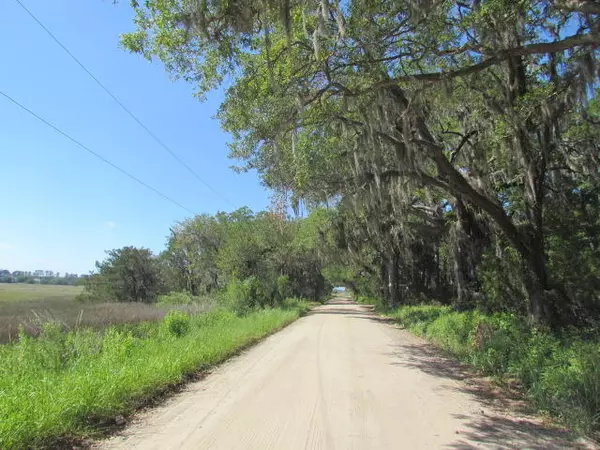 Edisto Island, SC 29438,1864 Bligen Parker Ln