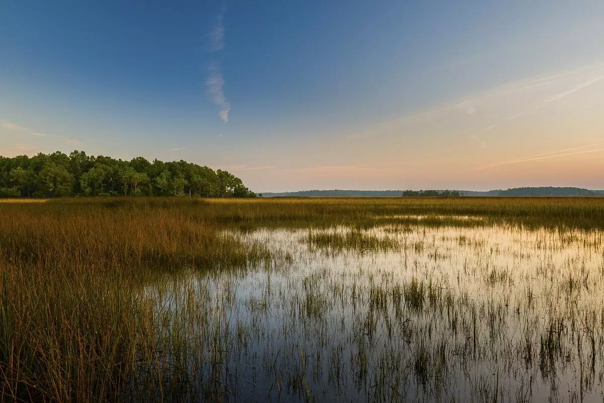 Daniel Island, SC 29492,137 Nobels Point St