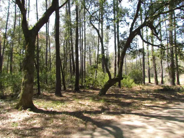 0 Palmetto Pointe Rd #7-3, Edisto Island, SC 29438