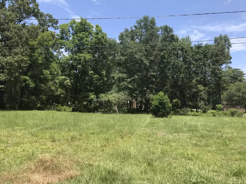 105 E Pinckney St, Summerville, SC 29485