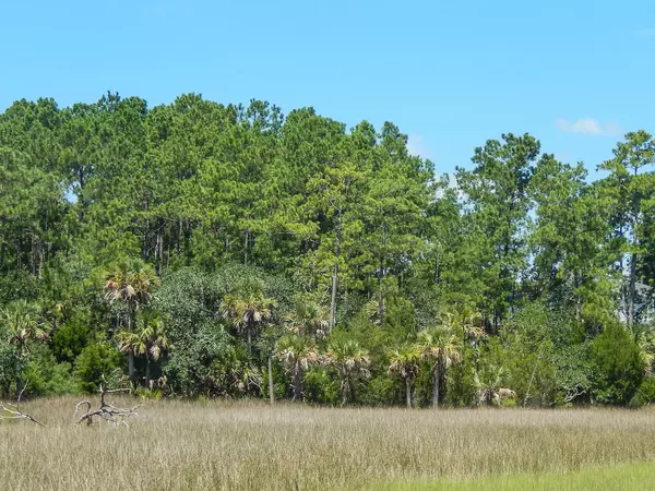 Mount Pleasant, SC 29466,2372 Darts Cove Way
