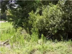 Hampton, SC 29924,0 Gate Rd