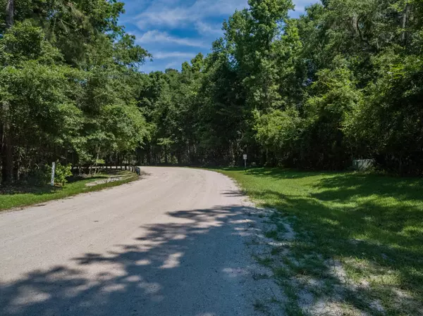 Wadmalaw Island, SC 29487,0 Pawlett Blake Lane #Parcel 31