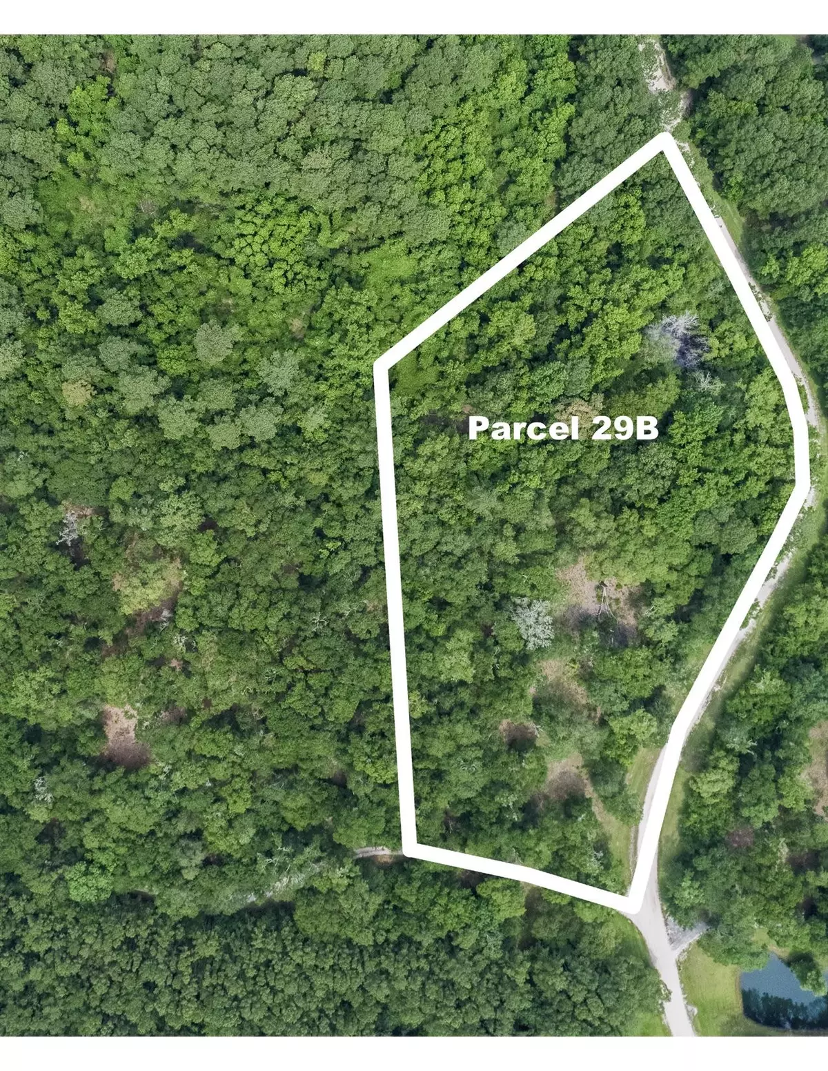 Wadmalaw Island, SC 29487,0 Pawlett Blake Lane #Parcel 29b