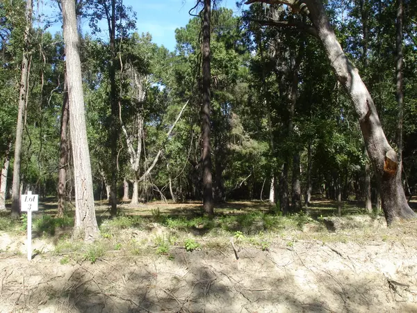 Meggett, SC 29449,2 Salty Dog Ln.