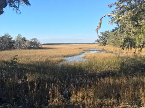 Edisto Island, SC 29438,3-F Cape Palmetto Trl