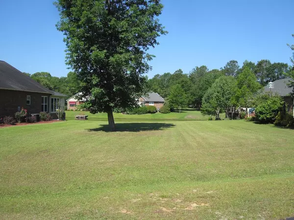 Manning, SC 29102,604 Fern Oak Ct
