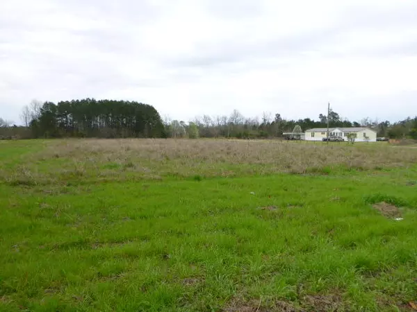 Saint Stephen, SC 29479,Lot 0 Wolfman Ln