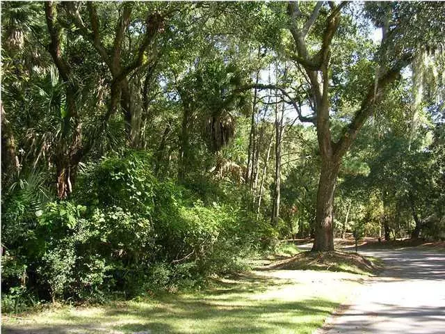 2168 Loblolly Ln, Seabrook Island, SC 29455